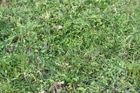JPG_9044