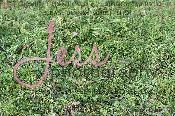 JPG_9044