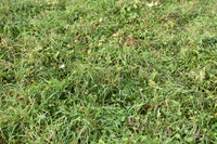 JPG_9034