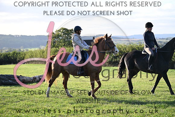 FR (46)