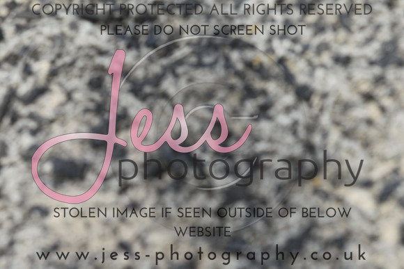 JES_6062