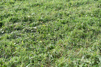 JPG_9404