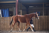 DSC_0033