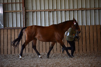 DSC_0401