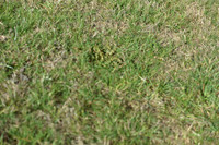 JPG_0370