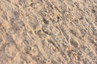 JPG_9540