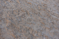 JPG_9469