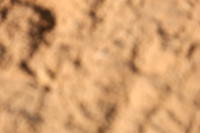 TSJ_0050
