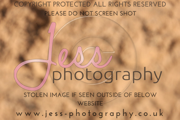 TSJ_0050