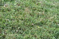 JPG_9023