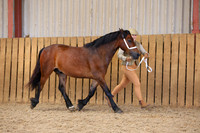 TGS_0958