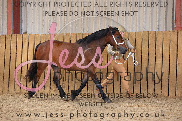 TGS_0958