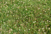 JPG_6392