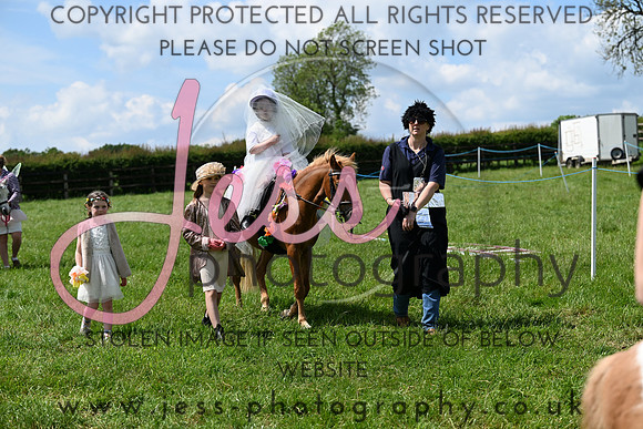 NCHPC2R1 (271)