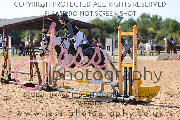 TSJ_0429