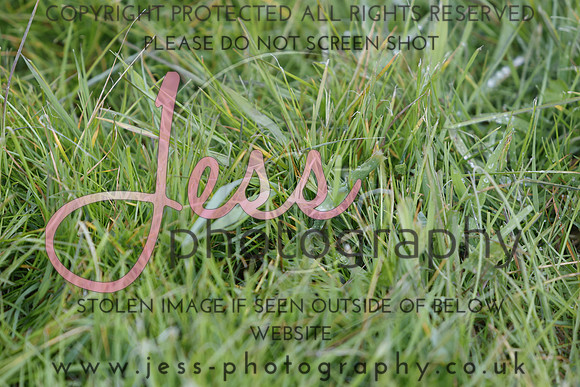 _J1A8609