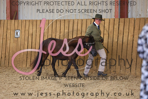 TGS_0951