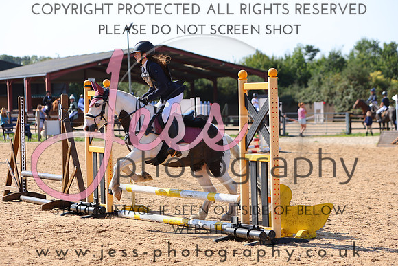 TSJ_0267