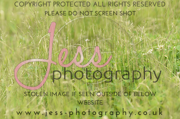 JES_8764