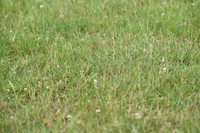JPG_6614