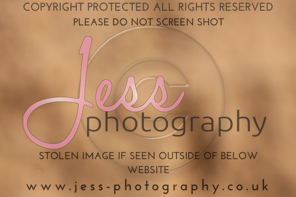 TSJ_0233