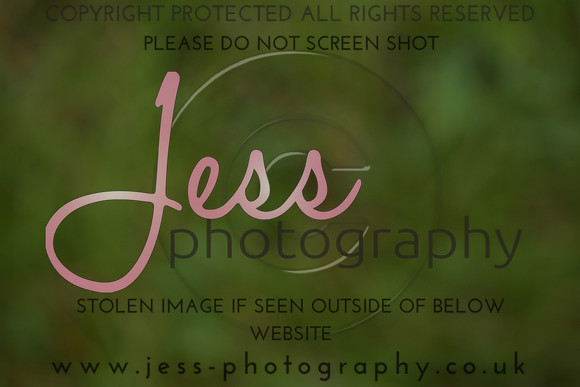 JPG_6598