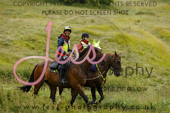 _MGM0082