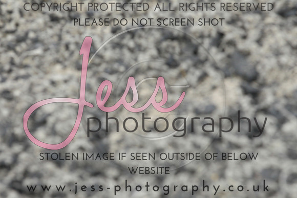 JES_6299