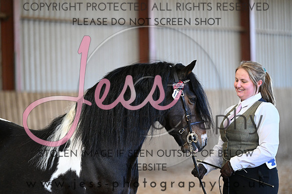 TG06 (76)