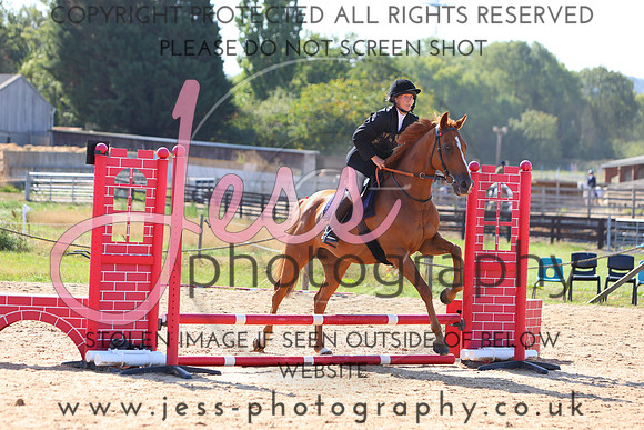 TSJ_0335