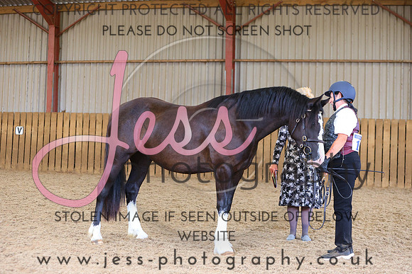 TGS_0964