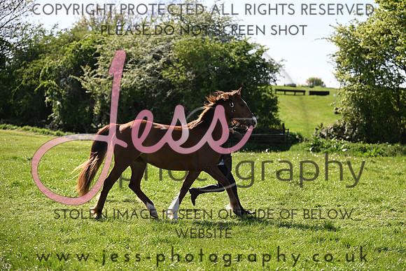 TGIS (376)