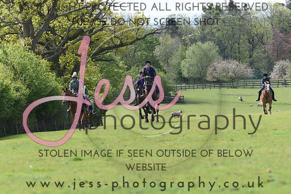 JES_3687