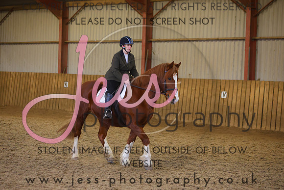 TGSJ1394