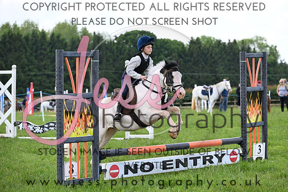 NCPC1R1 (86)