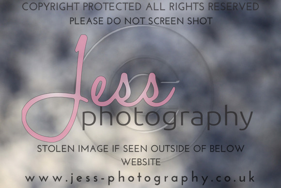 JES_5339