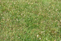JPG_6366