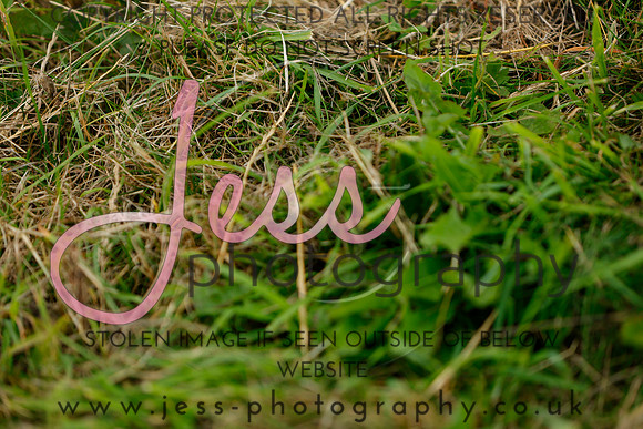 _MGM0422
