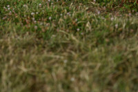 JPG_7307