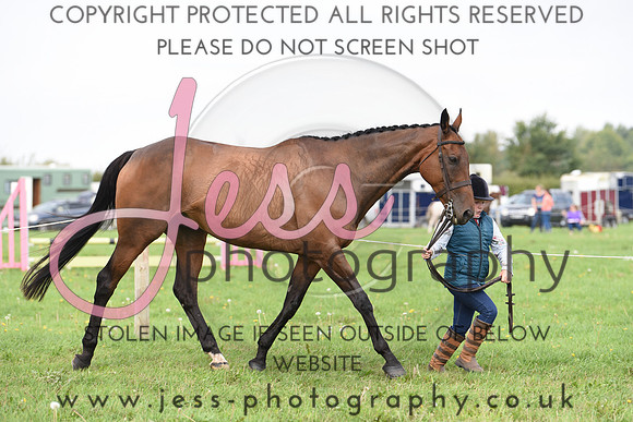 JES_0533