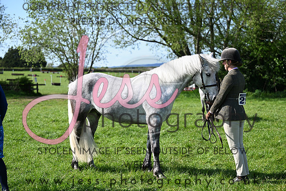 TGIS (334)