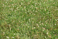 JPG_6380