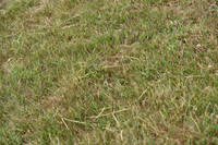 JPG_7095