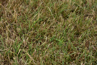 JPG_6959