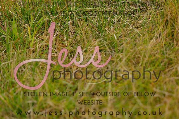 _MGM0552