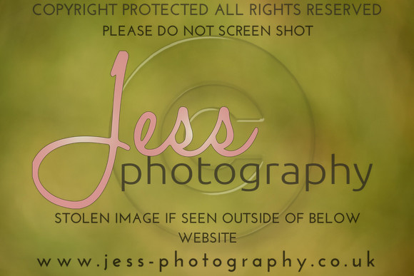 JES (253)