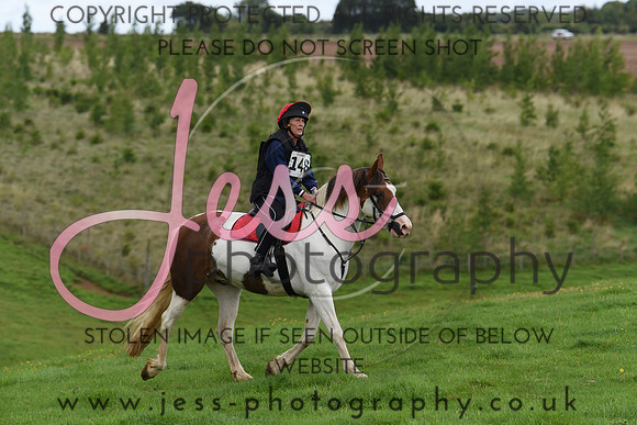 TREC (2)
