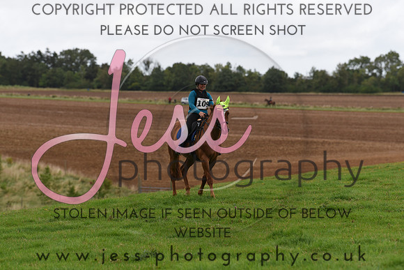 TREC (9)