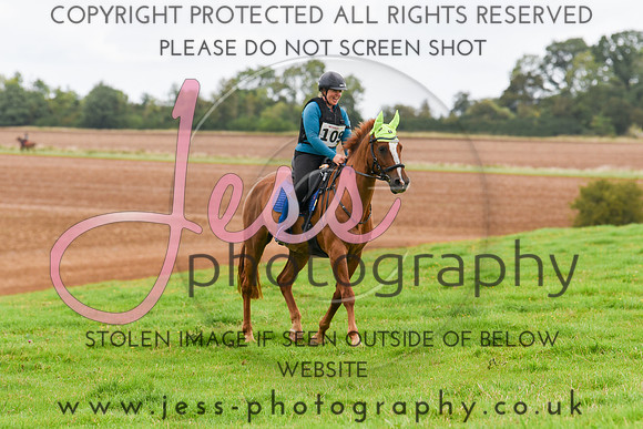 TREC (10)