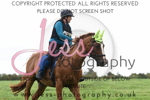 TREC (13)